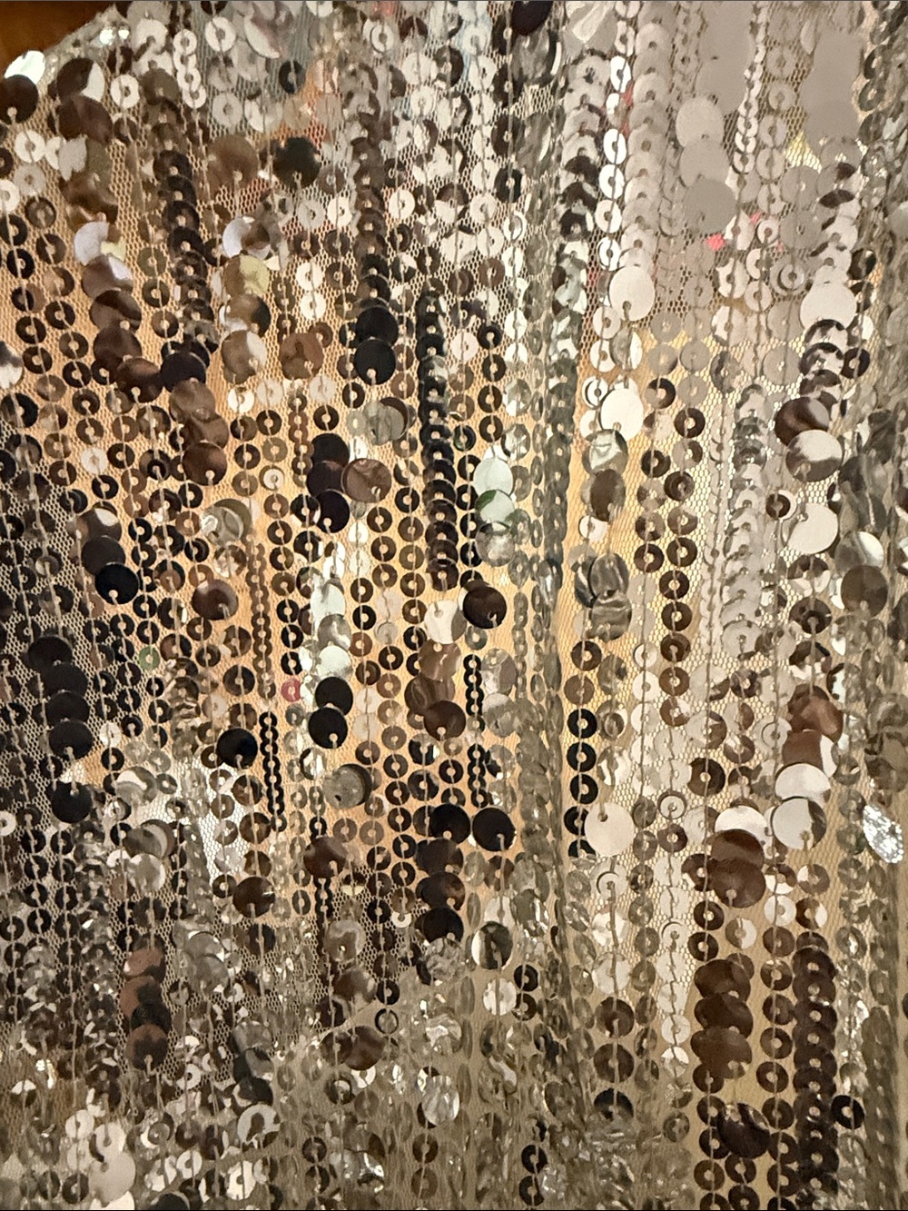 NWT H&M Sequin Wrap Dress in Champagne Gold/ Silver - Picture 8 of 8